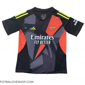 Arsenal Brankářské Alternativní Dres 2024-25 Krátký Rukáv