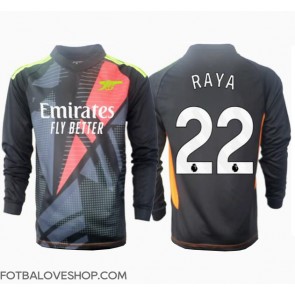 Arsenal David Raya #22 Brankářské Alternativní Dres 2024-25 Dlouhý Rukáv