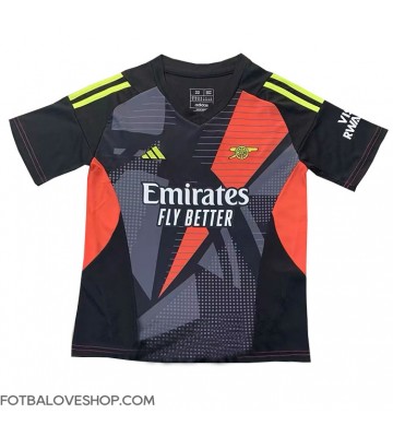 Arsenal Brankářské Alternativní Dres 2024-25 Krátký Rukáv