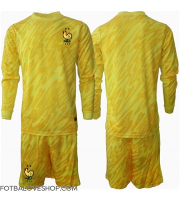Francie Brankářské Dětské Domácí Dres ME 2024 Dlouhý Rukáv (+ trenýrky)