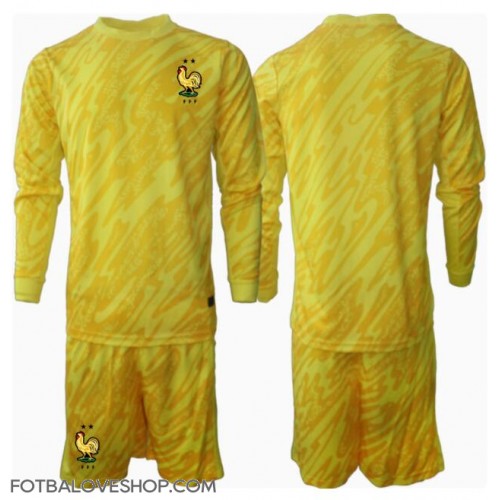 Francie Brankářské Dětské Domácí Dres ME 2024 Dlouhý Rukáv (+ trenýrky)