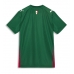 Palmeiras Domácí Dres 2026-27 Krátký Rukáv