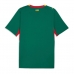 Senegal Venkovní Dres MS 2026 Krátký Rukáv